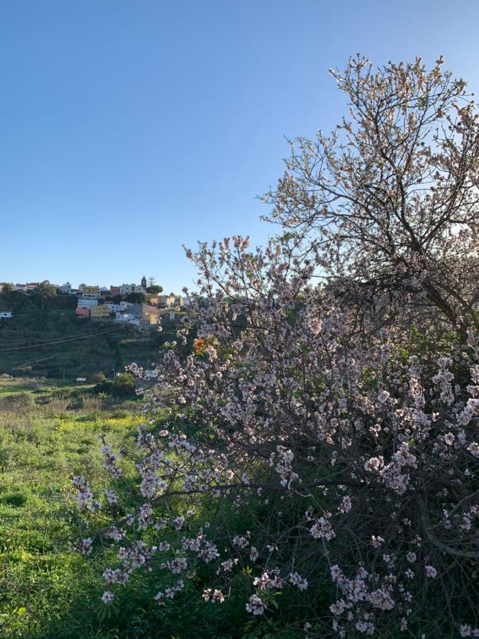 El Sosiego, Der Rueckzugsort Santa Brígida Exteriér fotografie